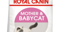 Royal Canin Mother And Baby Cat